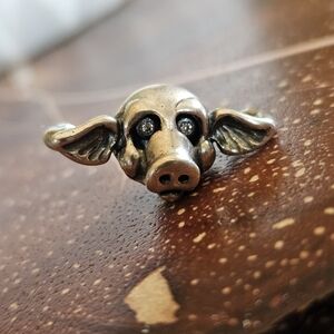 X By Trollbeads Pig, Double Silver Link